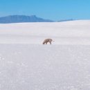 (주)팜미디어 이미지