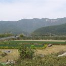 송백다방 이미지