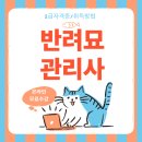 재난예방안전관리사 자격증 과정 | 고양이 집사 행동교정 교육 반려묘관리사 자격증 취득 후기