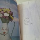 힐링솔가 이미지