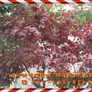 목양 약국 이미지