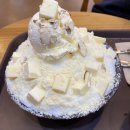 설빙계원예대점 | [설빙] 요거통통메론설빙 치즈설빙 인절미크로플 인절미토스트ㅣ솔직후기