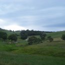 장평목장 이미지