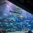 한화호텔앤드리조트주식회사 이미지