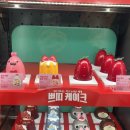 쁘띠베라 이미지