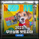 펫토피아 | 양재천 반려견 축제 행사, 무브살롱 시즌2 : 펫토피아 방문 후기