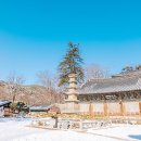 부소산칼국수 | 공주 겨울 가볼만한곳, 마곡사 설경 명소 | 눈 내린 산사에서 만나는 평온한 하루