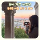 꿈꾸는 노마드 | 동유럽 여행 소규모 세미 패키지여행 노마드트래블 (체코 오스트리아 할슈타트 헝가리)