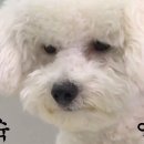 혼돈 이미지