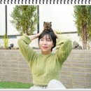 기대만족 구미점 | 구미말티푸분양 테디럽 만족스러운 후기