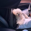 남울진농협하나로마트 | 울진 2박 3일 세커플 여행(1)