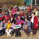 김갑수농장 이미지