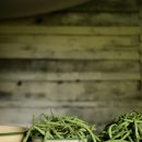 빈 하루 이미지