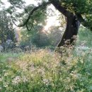 풍암고등학교 이미지