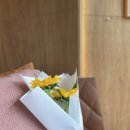 지니바스인테리어 이미지