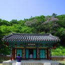 매월향 이미지