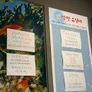 낭만시스템 | 신용동 [낭만오징어] 솔직후기 • 오징어회 웨이팅 • 인스타 예약