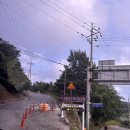 진도집 | [자연휴양림 후기]국립진도자연휴양림 숲속의집 후박나무