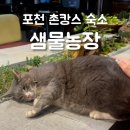 CU(씨유) 광주도수길점 | 서울 근교 촌캉스 포천 샘물농장 에어비앤비 1박 2일 여행 추천