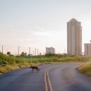 Time Terminal Hotel 이미지