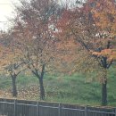 뉴금성자동차공업사 이미지