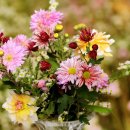 플로리스트전문가교육 이미지