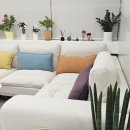 라라치과의원 이미지