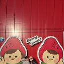제이디팜 보성농장 | ​[전남/벌교] 아이와 가볼만한 곳: 리뉴얼로 더 좋아진 '베리굿농장' 딸기체험 &amp; 키즈카페급 놀이공간 🍓✨