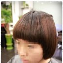 도도헤어(dodohair)