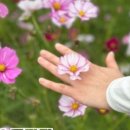 밀리터리테마파크 호국안보전시관 이미지