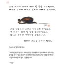 H5144 이미지