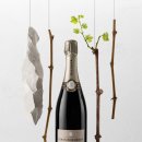 블랑루이 이미지