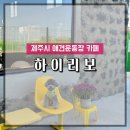 하이리보 | [ 제주 카페 ] 제주시 새로 생긴 애견카페 애견운동장 있는 하이리보 다녀온 후기
