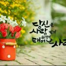 아씨 - 송파구 | 아씨