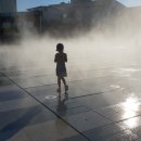 춘천시청 화장실 이미지