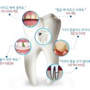 로덴치과의원 이미지