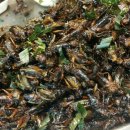 타이우돈마트