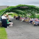 꽃향기정원 이미지