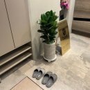 분당-182 이미지