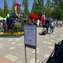 짱PC | 2026 고양 꽃박람회 수상 꽃자전거 탄 후기