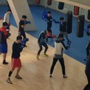 대한복싱훈련장 이미지