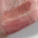 핑크비비 | 라카 맥시 글레이어 틴트 603 비비 리뷰, 사용후기, 색상 비교, 핑크립 추천