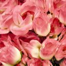 명 행정사 이미지