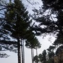까리따스 이미지