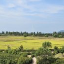 유수지공원 앞 이미지