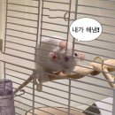 두건볼트산업