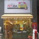 뽀삐애견 이미지