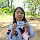 지웰MTA태권도 이미지