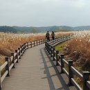 스쿨프렌즈 이미지