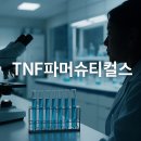티엔에프(TNF) 이미지